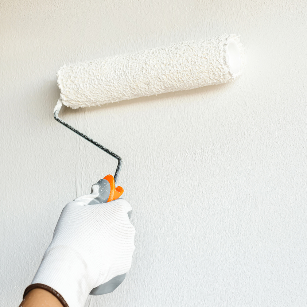 RÉNOVATION • PEINTURE • PLACO • SOLS • FAÏENCE • CUISINES • DÉMOLITION • RÉNOVATION EXTÉRIEURE • RÉNOVATION • PEINTURE • PLACO • SOLS • FAÏENCE • CUISINES • DÉMOLITION • RÉNOVATION EXTÉRIEURE •